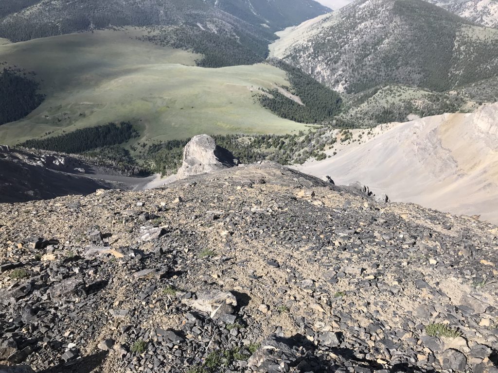 Looking down the Tower Rib. The large tower is just left of center. Scott Canyon is right of center at the top of the photo.