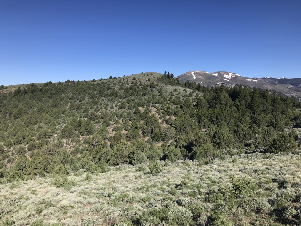 Mercury Peak with the ATV track climbing up from right to left and Quicksilver Mountain on the right.