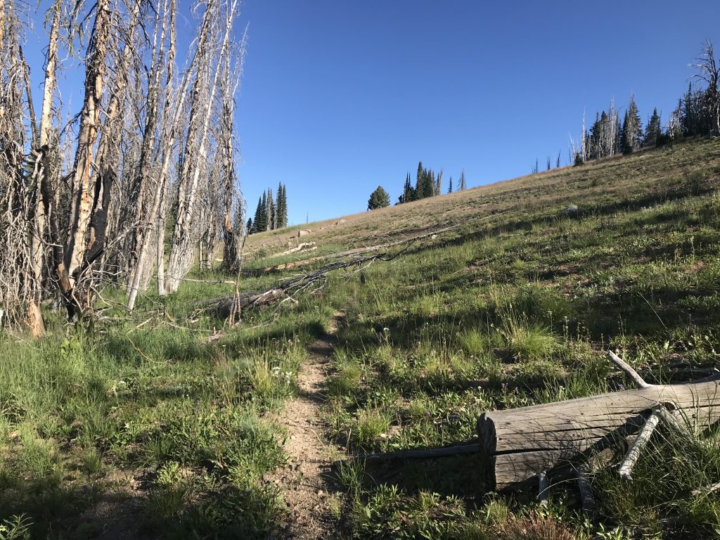 Approaching the saddle between the north and south summits.