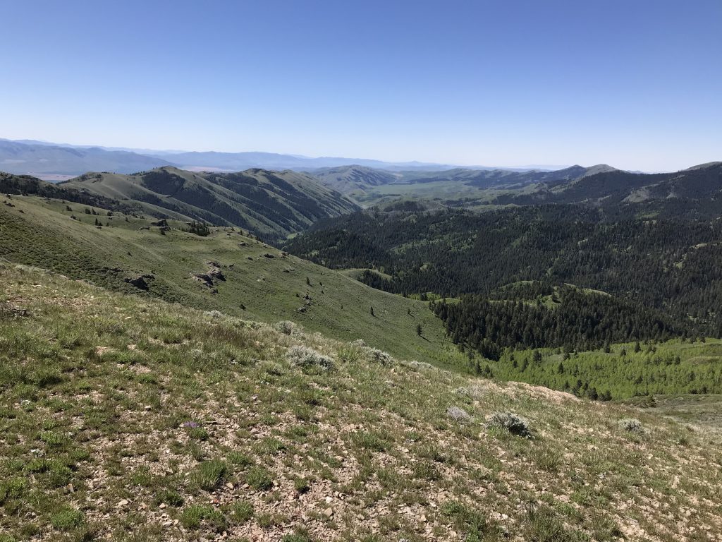 Looking down Bull Canyon from the slopes of Deep Creek Peak.