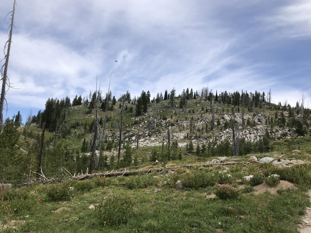 The summit dome of Gold Fork Lookout is studded with granite outcrops.