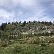 The summit dome of Gold Fork Lookout is studded with granite outcrops.