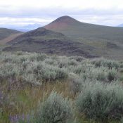 Rattlesnake Butte as viewed from the Northeast Spur of Dinosaur Ridge. The butte is dead-center with the reddish field grass on its South Face. Avoid the rugged ridge section around Point 5105 (the blackish rock and scrub left of center). It’s a tedious, difficult affair. Livingston Douglas Photo
