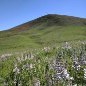 Danskin Bridge Peak.