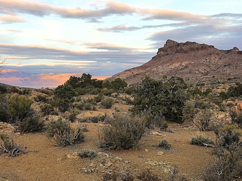 Evening high in the Seaman Range.