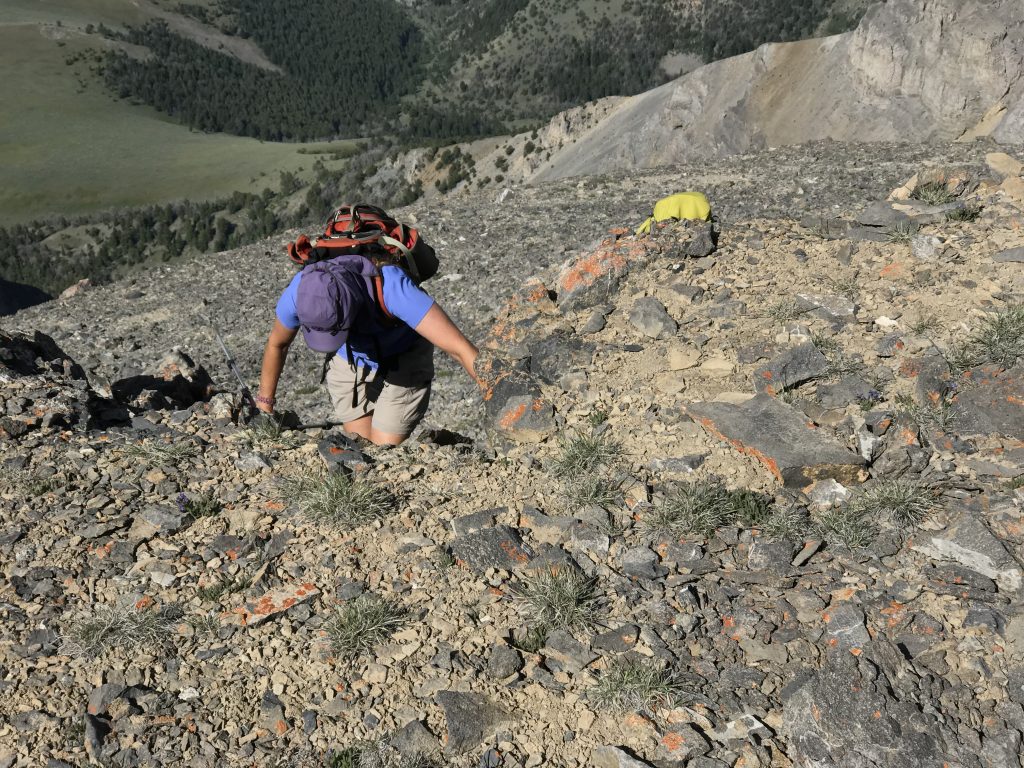 Terri Rowe and Mike Fox cresting at the top of the Tower Rib.