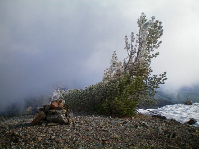 The summit cairn and hoar-frosted pines atop Glide Mountain on a chilly, blustery June morning. Livingston Douglas Photo 