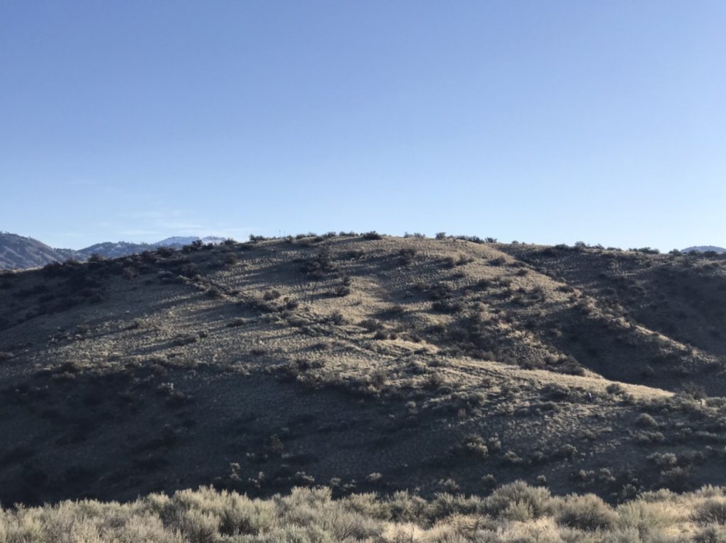 Polecat Mountain viewed from the south.