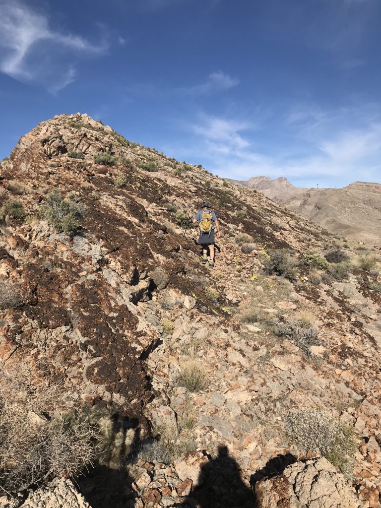 The terrain in this area is populated by cactus and creosote as well as a number of hardy grasses.