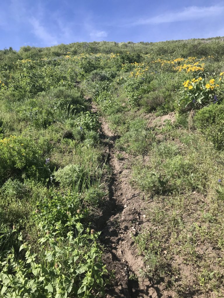 The steep trail leading up the north face.