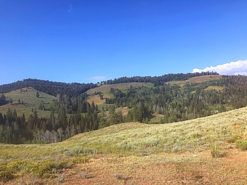 Cannonball Mountain viewed from the parking spot discussed below. The northeast ridge is to the left to this photo