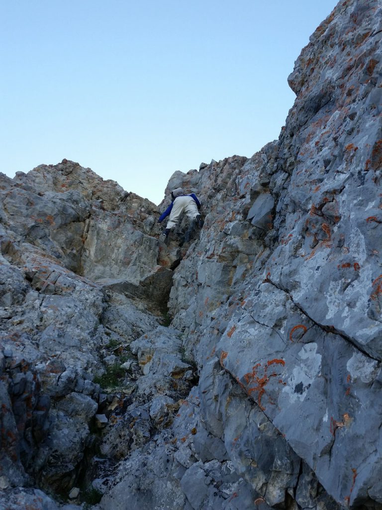 Kevin Hansen taming a dihedral or a tame dihedral. Thierry Legrain Photo 