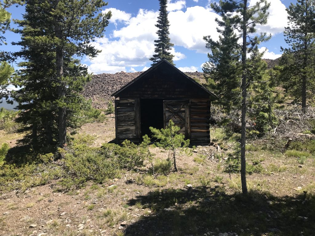 This garage like structure is in fair condition and shows signs of recent work.