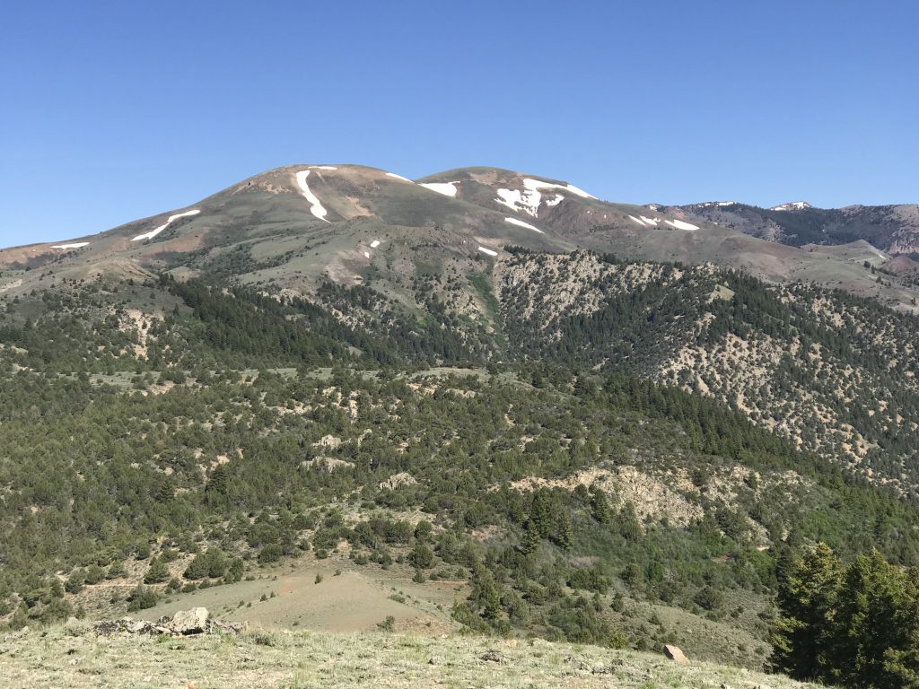 Quicksilver Mountain viewed from Peak 6499.