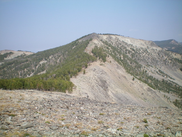 Goldstone North as viewed from the south on the Continental Divide. The summit hump is the small, darkish mound in dead center. Livingston Douglas Photo 