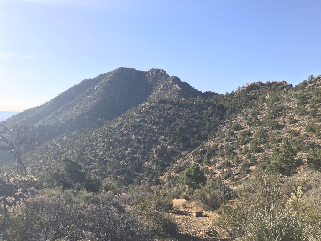 Billy Goat Peak from the north.