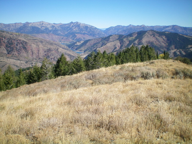 The summit area of Peak 7911, looking down its northeast ridge. Palisades Reservoir is in the distance. Livingston Douglas Photo 