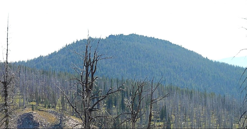 Peak 8894 viewed from Little Baldy.