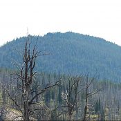 Peak 8894 viewed from Little Baldy.