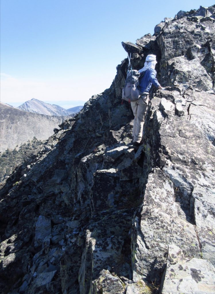 Minimizing exposure by moving to the N side of the ridge in a few places. This picture is taken after the notch between the fore- and main summit. Carl Hamke Photo