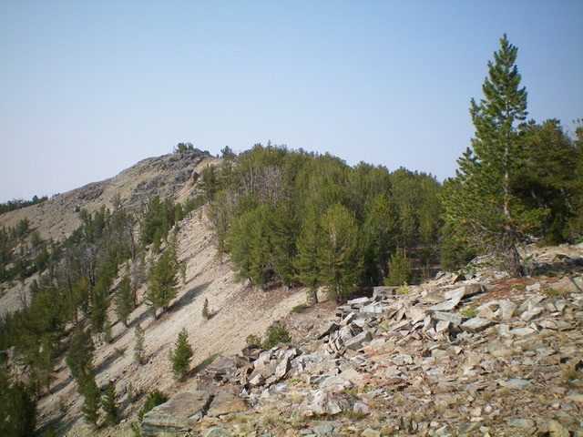 Looking up the northeast ridge of Peak 9580. The summit is just left of center. Livingston Douglas Photo 