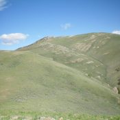 Appendicitis Hill as viewed from the south. Livingston Douglas Photo