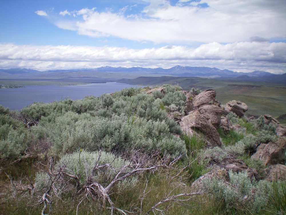 The summit boulders and scrub atop Rattlesnake Butte. Magic Reservoir is in the background. Livingston Douglas Phot