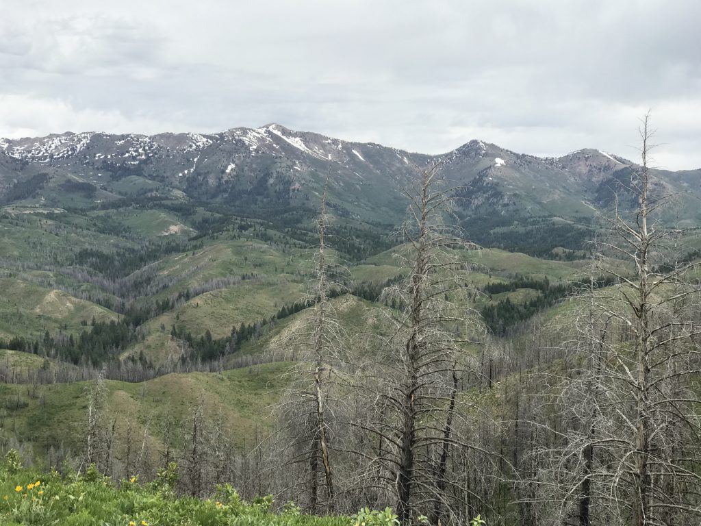 The main Soldier Mountains crest viewed from Sheep Point.