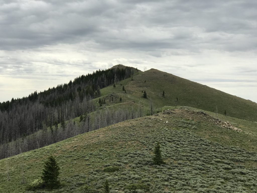 Sheep Point viewed from the north.