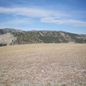 The elongated summit ridge of Peak 9768 as viewed from the east. The summit high point is left of center. Livingston Douglas