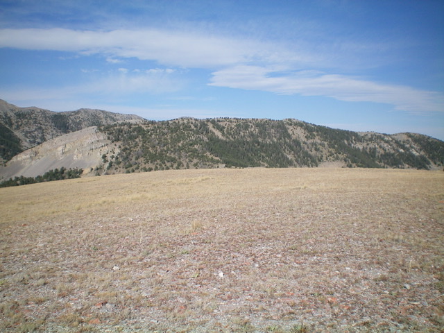 The elongated summit ridge of Peak 9768 as viewed from the east. The summit high point is left of center. Livingston Douglas 
