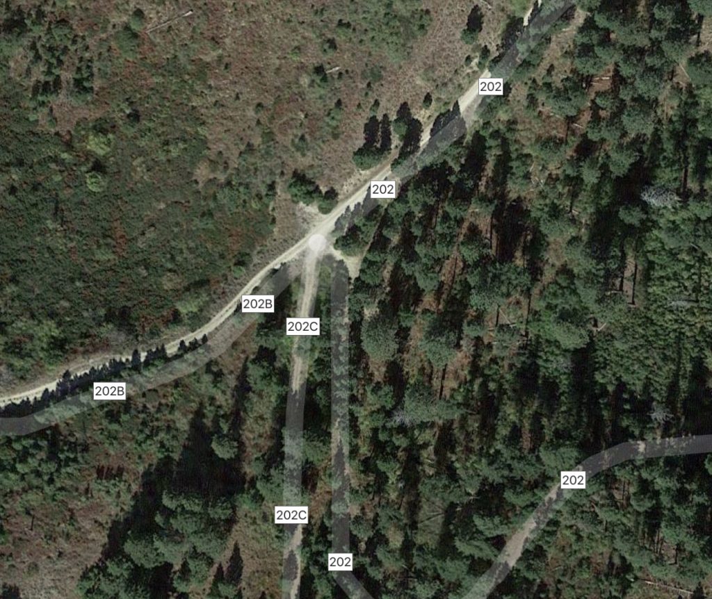 This Google Maps photo show the confusing intersection. You want FS-202C.