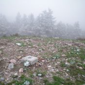 The summit area of Picnic Benchmark with freshly snow-dusted pines nearby. Livingston Douglas Photo