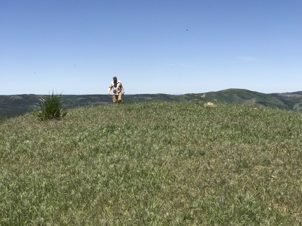 Trapper Peak IDAHO A Climbing Guide