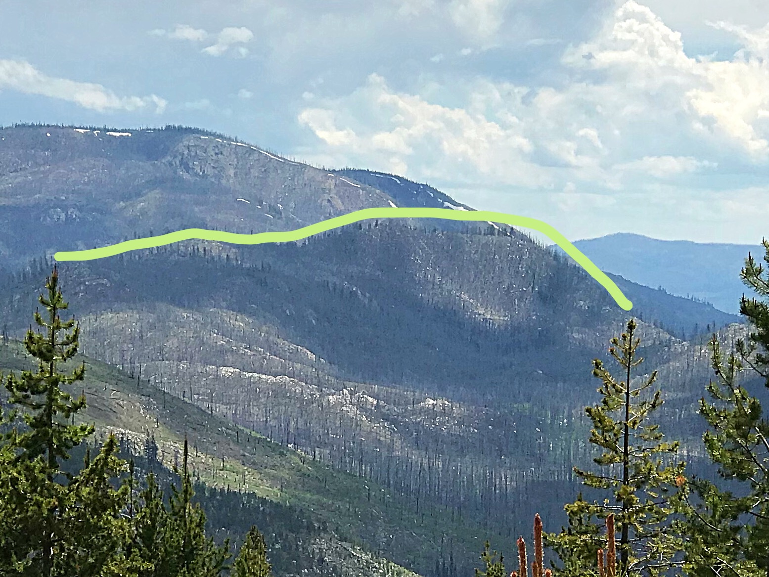 Peak 7740 viewed from Buck Mountain. The yellow lime follows the summit ridge.