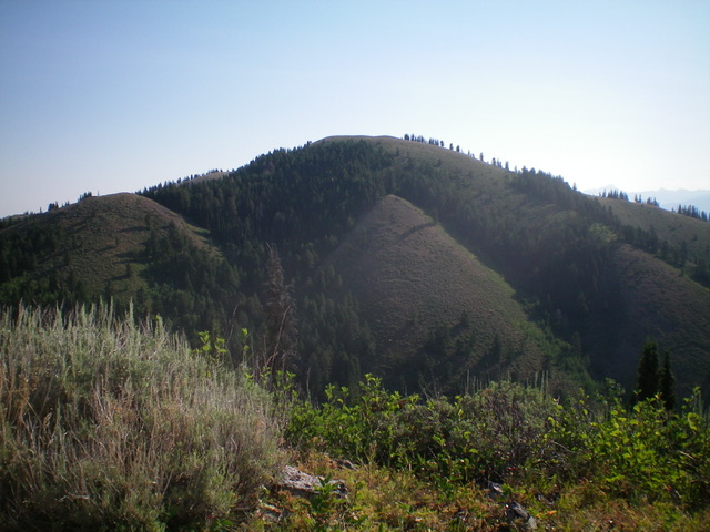 Henderson Peak as viewed from Mahogany Ridge West to its southwest. Livingston Douglas Photo 
