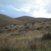 Lookout Mountain (center hump) as viewed from high up on FSR-163. Livingston Douglas Photo