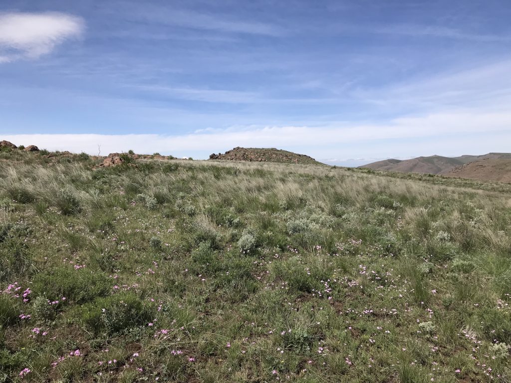 The summit viewed from the east.