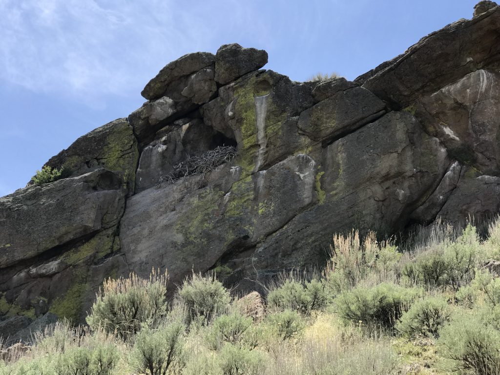 An eagle nest (?) near the summit.