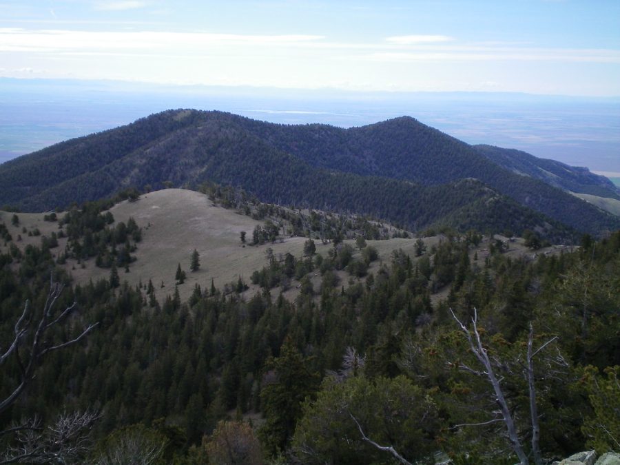 Peak 9300 is the forested ridge hump in the distance (left of center), as viewed from the summit of Bloom Benchmark. Livingston Douglas Photo