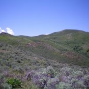 Farther up the Northeast Ridge. The false summit is right of center. The true summit is not visible from here. Livingston Douglas Photo