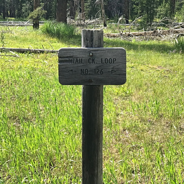 This sign is located a hundred yards from the trailhead. Go left.
