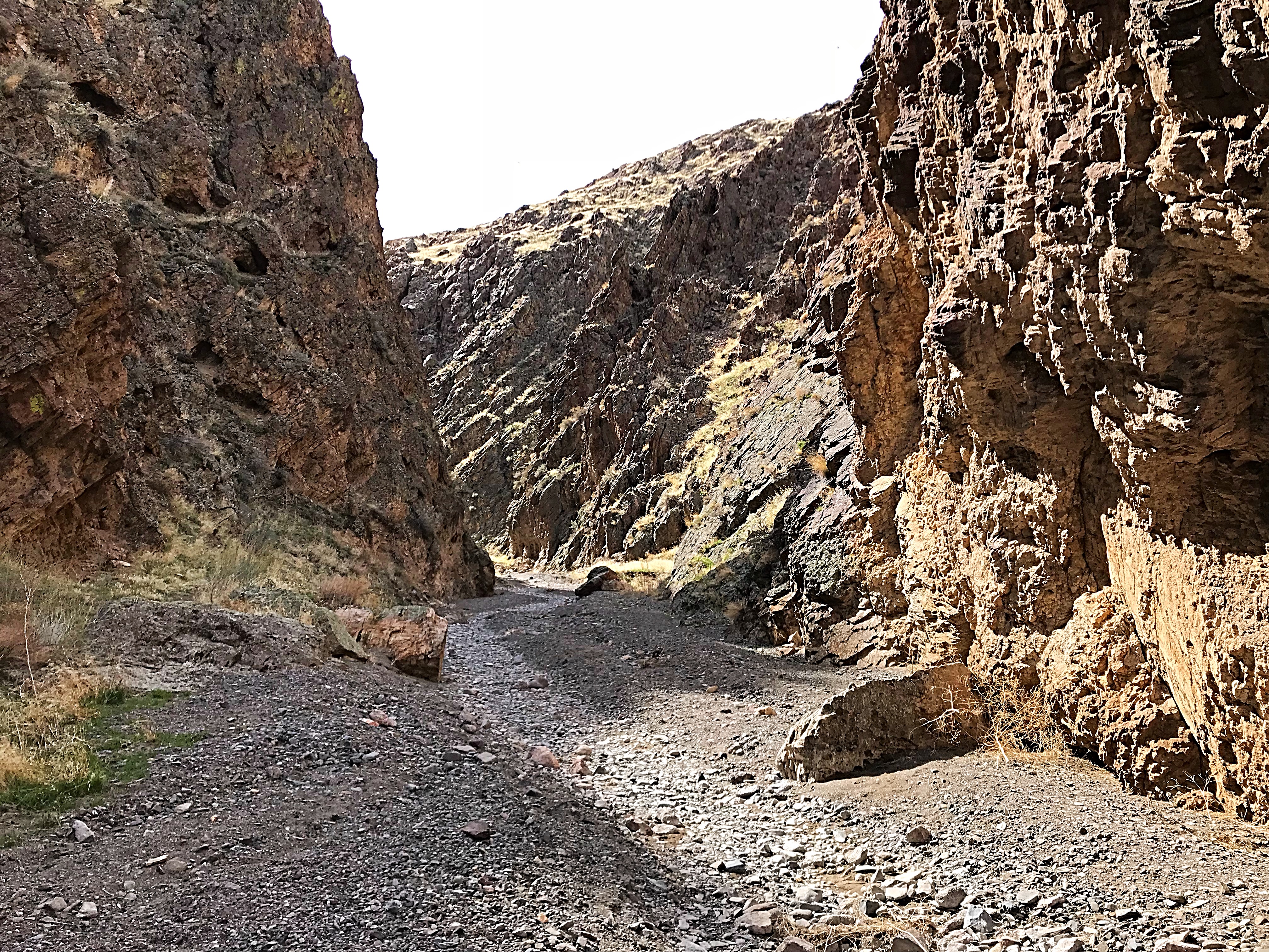 Hardtrigger Canyon’s walls are made up of hard pockmarked volcanic rock.