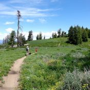 The ridge walk crosses several meadows along tje way. Dace Pahlas Photo