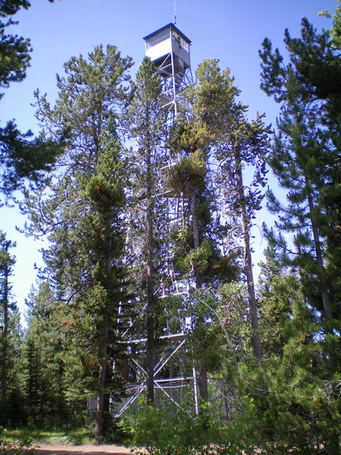 The lookout tower atop Bishop Mountain. Livingston Douglas Photo 