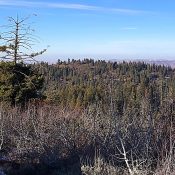 Peak 6340 viewed from Dry Buck Mountain.