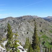 Peak 7965 (East Corral Peak) from Duck Peak. John Platt Photo