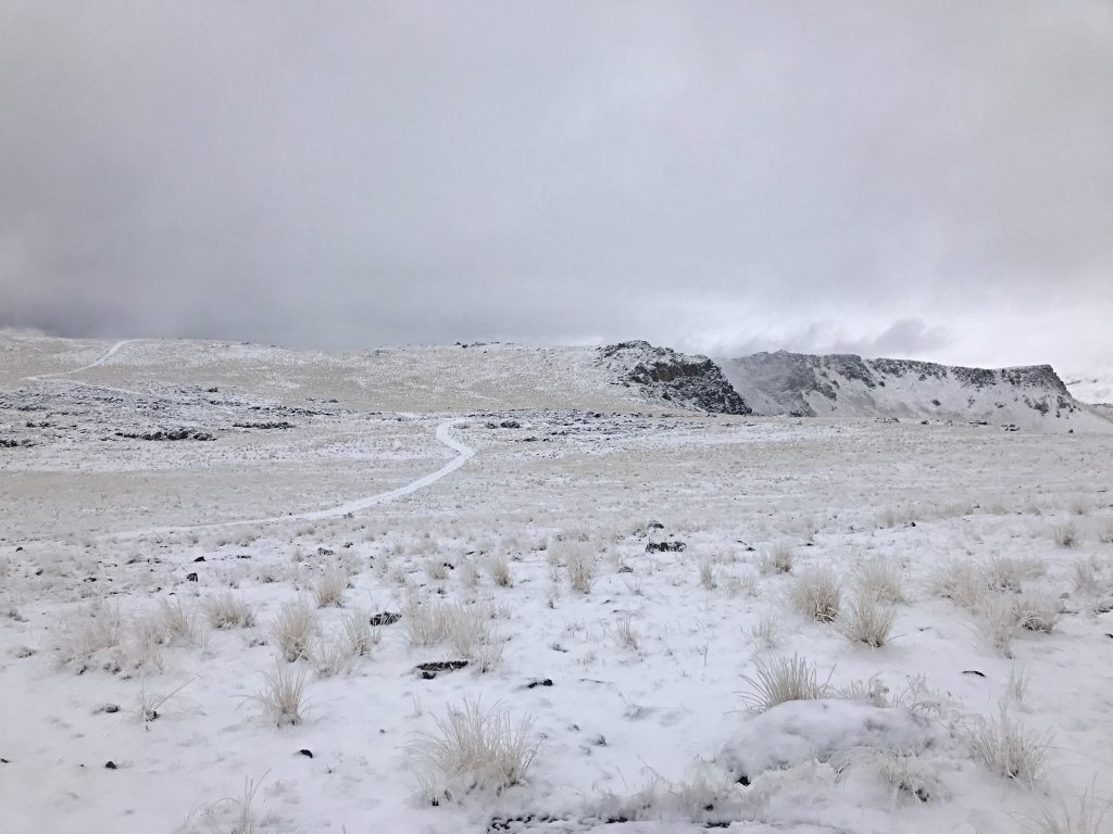 Following the ridge south toward the summit on a snowy March day. The summit does not come in to view until the last 200 yards of the hike.