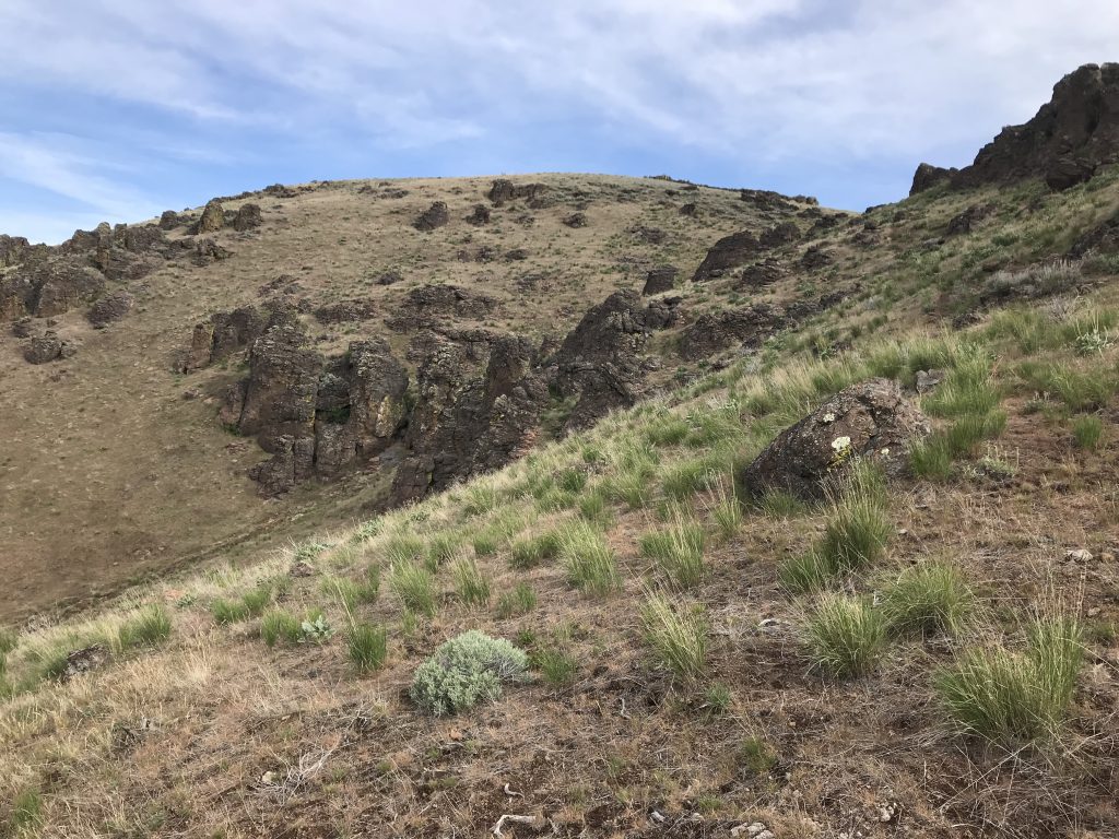 Looking up the route from roughly 4,900 feet.