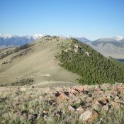 Peak 7910 viewed from the north. Livingston Douglas Photo